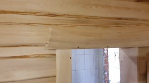 Баня из необрезной доски своими руками