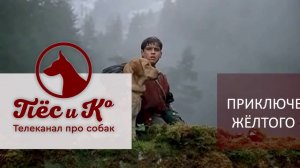 Х/ф «Приключения желтого пса»