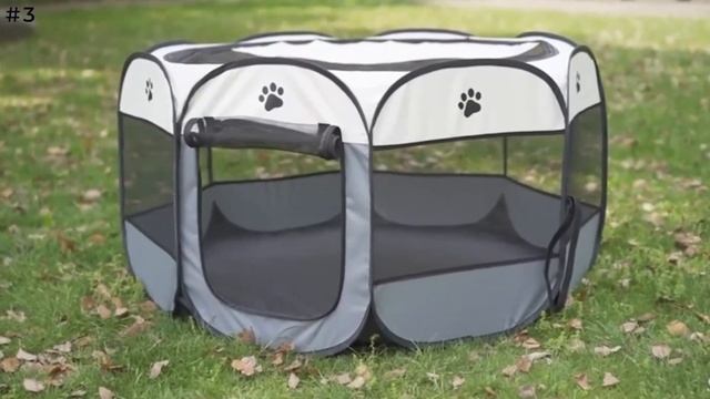 Top Dog Gears You Can Find On Amazon смотреть онлайн