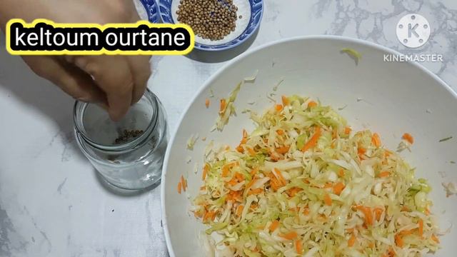 تحضيرات عيد الاضحى/ مخلل الملفوف والجزر غني بالفيتامينات/تقوية المناعة. смотреть онлайн