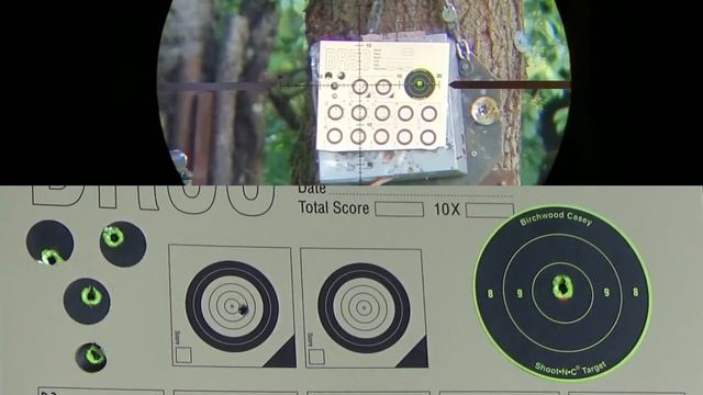 Daystate RED WOLF in .177 HP (Full Review) and Accuracy Test смотреть онлайн