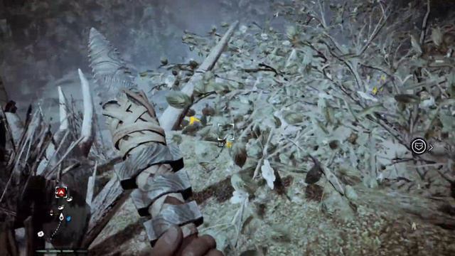 Far Cry Primal Часть 11 Тотем духов и Приручение Леопарда смотреть онлайн