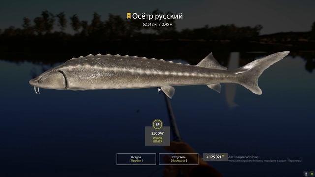 русская рыбалка 4. троф осетр русский смотреть онлайн