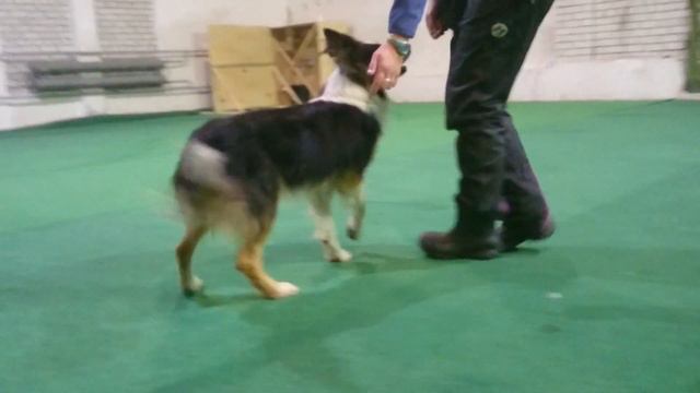 Змей зарядка смотреть онлайн