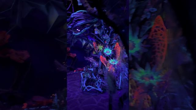 Обитатели морских глубин