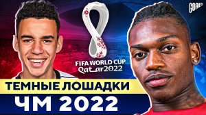 ТОП 10 тёмных лошадок ЧМ 2022. Они зажгут на Чемпионате Мира!