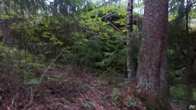 Выборг "Парк Монрепо" смотреть онлайн