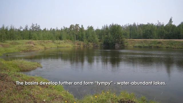 Термокарст (Thermokarst)