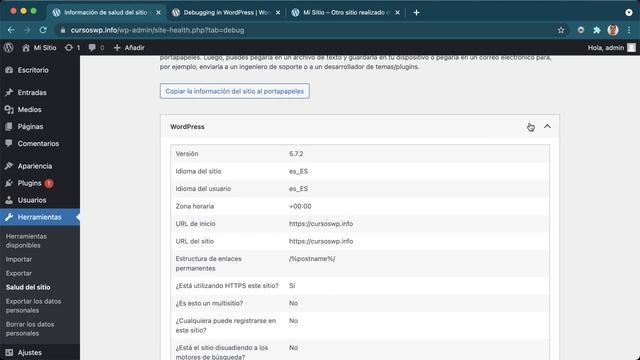 ? Salud del Sitio WordPress ? Mediante la herramienta Nativa de WordPress Salud del Sitio - GRATIS смотреть онлайн