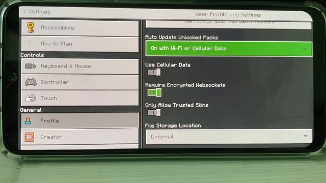 Fix Could Not Connect Outdated Client Minecraft 1.17