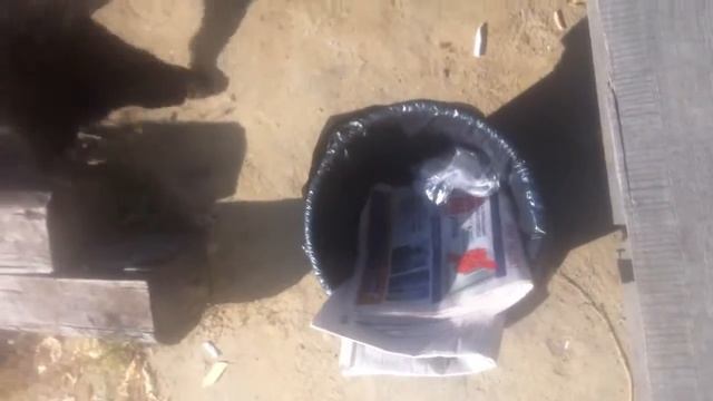 Собака съела пакет смотреть онлайн