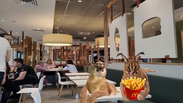 2 шлепы рекламируют бигмак бекон самозванец смотреть онлайн