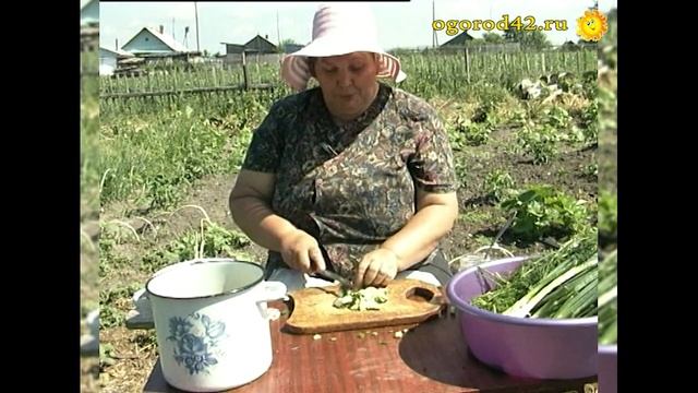 Старинный рецепт ботвиньи смотреть онлайн