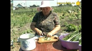 Старинный рецепт ботвиньи