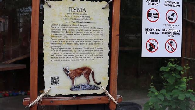 Парк "Роев Ручей" - июнь 2022 смотреть онлайн