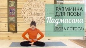 Разминка для позы Падмасана (поза Лотоса)