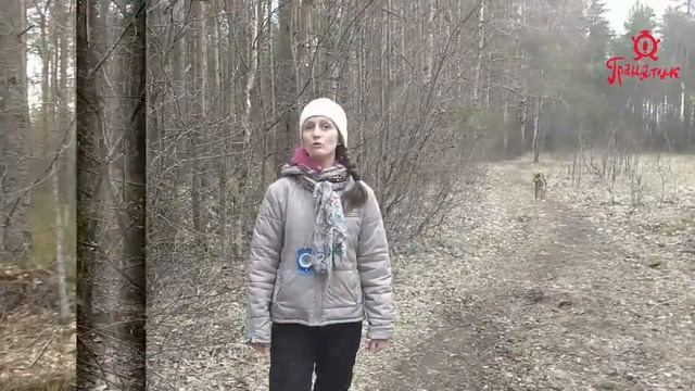 Правила поведения в лесу. Часть 1 смотреть онлайн