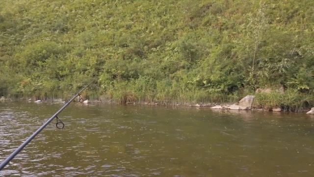 Секреты ловли хариуса на малых реках. Рыбалка на хариуса 2020. смотреть онлайн