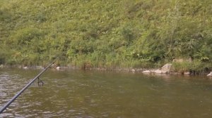 Секреты ловли хариуса на малых реках. Рыбалка на хариуса 2020.