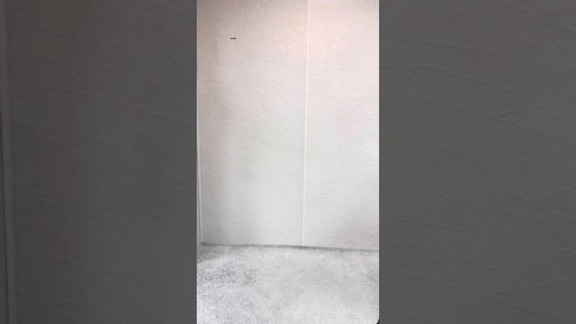 ПЫШКА-ЗЕЛЕНОГРАД Женская одежда больших размеров #225 смотреть онлайн