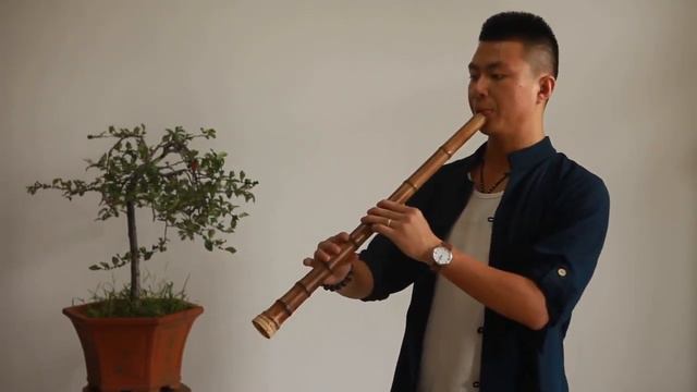 "Golden Bamboo" 8-hole Nanxiao - Chinese Shakuhachi Xiao Flute смотреть онлайн