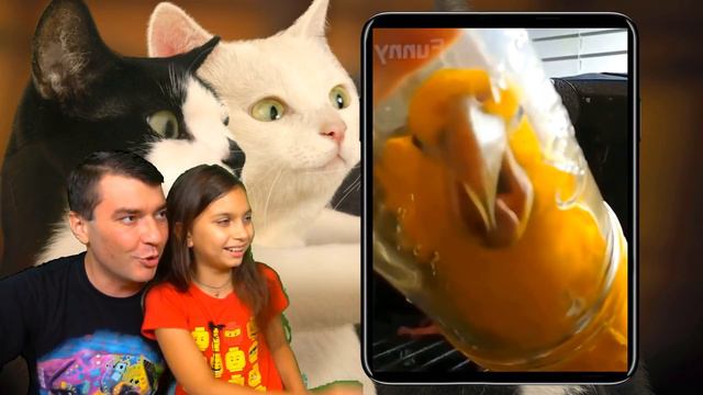 СМОТРИ САМЫЕ СМЕШНЫЕ 😻КОТЫ и НЕОБЫЧНЫЕ ЖИВОТНЫЕ! НЕ ЗАСМЕЙСЯ ЧЕЛЛЕНДЖ! Funny Cats Реакции Валеришка смотреть онлайн