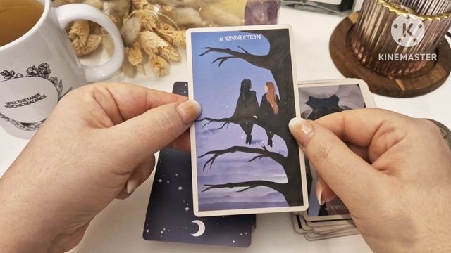 The star seeker oracle deck flip-through and review смотреть онлайн