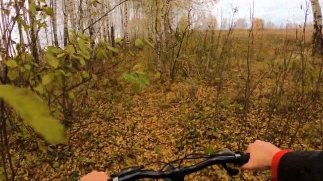 БОЛОТНАЯ КОСА. НА ВЕЛОСИПЕДЕ ЧЕРЕЗ БОЛОТО. ТУДА, ГДЕ ДОБЫВАЛИ ТОРФ! смотреть онлайн