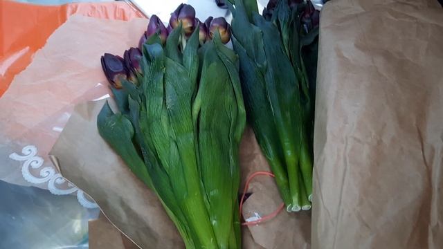 И всё таки они замерзли. ? Торговля с машины тюльпанами 8 марта. Репортаж с рынка. смотреть онлайн