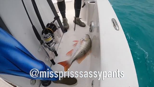 Fishing for MUTTON SNAPPER in Tough Conditions смотреть онлайн