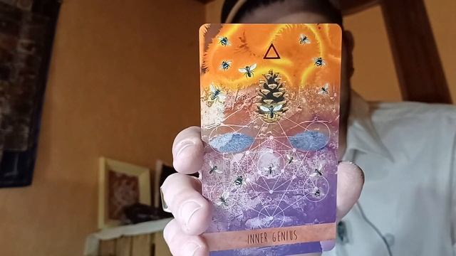 Wisdom of the Sacred BEE?oracle?????? смотреть онлайн