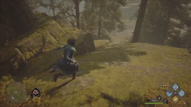 Hogwarts Legacy : Испытание Мерлина. Запад Араншира.