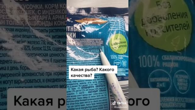 Почему нельзя кормить кота кошачьим кормом