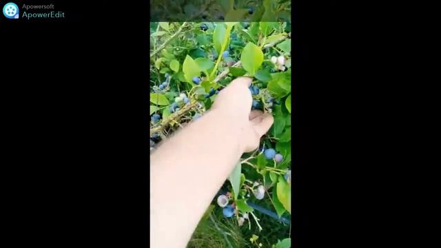 Ezt nézd.. смотреть онлайн