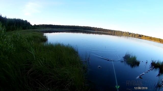 Ловля КРУПНОГО карася поздним вечером на поплавочную удочку. смотреть онлайн