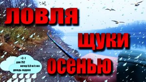 Щука осенью с берега ❗️ Рыбалка спиннинг щука воблер ❗️ Щука в ноябре на спиннинг ❗️