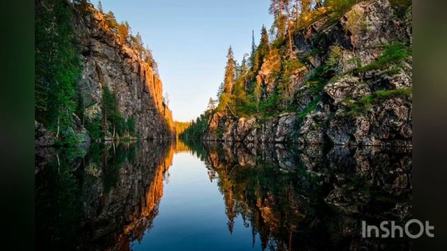 20 самых удивительных фактов о лесах и деревьях. Лес в России. Тайга. Хвойные леса. ТОП - 20 о лесе смотреть онлайн