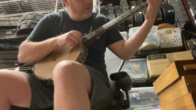 Washburn Seeders 12” смотреть онлайн