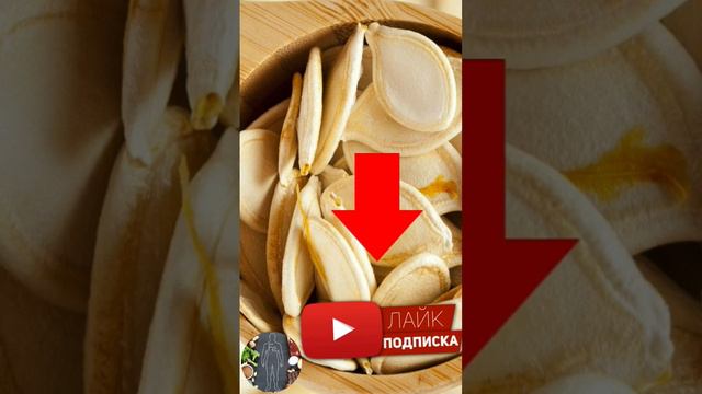 Спорим? ты не знал! Польза для мужчин #здоровье #организм #простата #мужскаясила #тыквенныесемечки смотреть онлайн