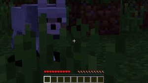 ? Майнкрафт но Оборотень От РОЖДЕНИЯ до СМЕРТИ!