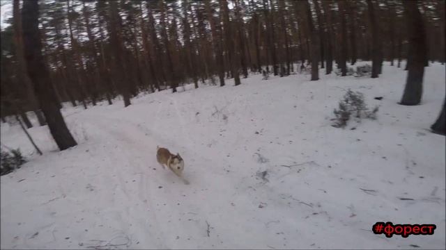 Люди с оружием смотреть онлайн