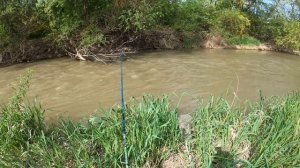 ПОПАЛИ НА ЖОР УСАЧА! РЕКА РАДУЕТ.РЫБАЛКА 2022 ВЕСНОЙ!!!