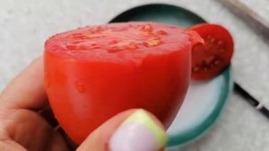 Томат Кенигсберг