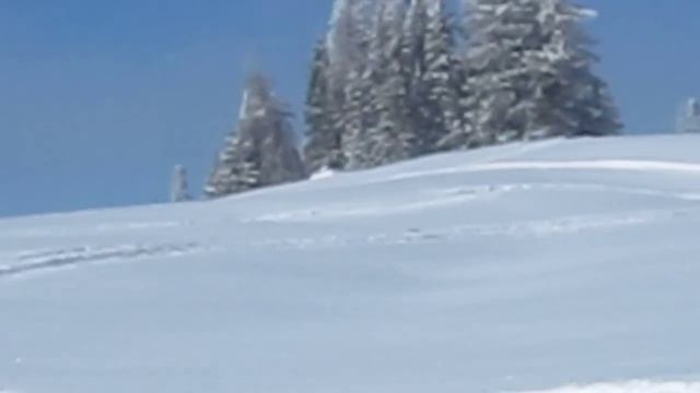 2010 ski-doo expedition 1200 4 смотреть онлайн