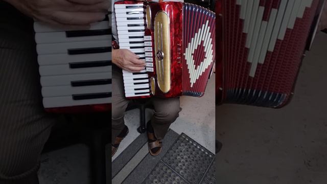 Argus 120 Bass Accordion смотреть онлайн