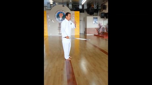 Hong Gia Vietnam - Ly Hong Thai - Kiếm Tàu (Chinese Jian Sword) смотреть онлайн