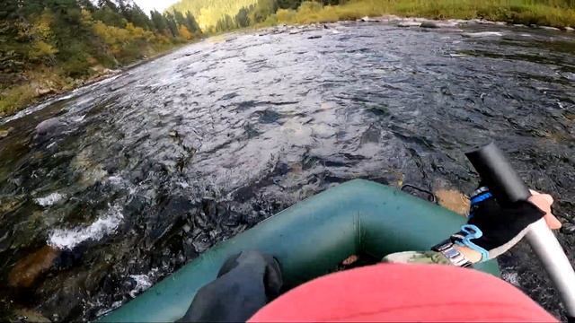 ОСЕННЯЯ РЫБАЛКА /КУЧА ХАРИУСА/ЗАВАЛИЛАСЬ ИЗБА активный отдых/ заповедник смотреть онлайн