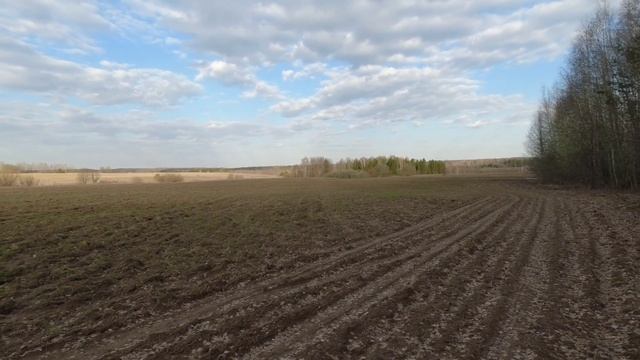 Весенний металлокоп МД 4030 смотреть онлайн