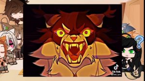 🐾реакция котов-воителей на тт🐾      могут быть ошибки и ляпы