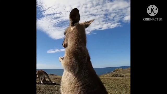 Хорошее настроение. Всё будет хорошо.#Позитив. смотреть онлайн